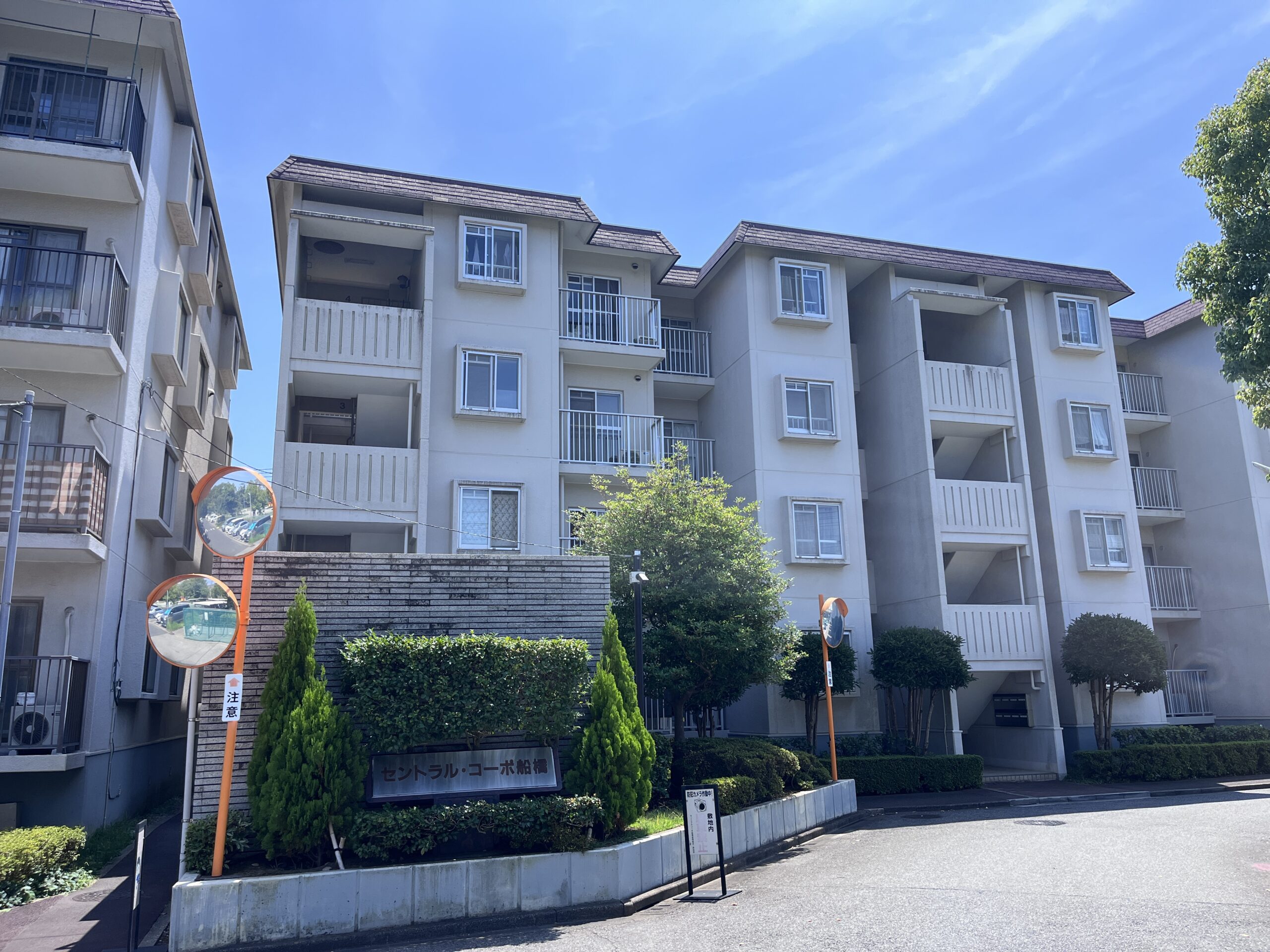 【予約内覧会開催中】セントラル・コーポ船橋1号棟301号室　内装リノベーション済みイメージ